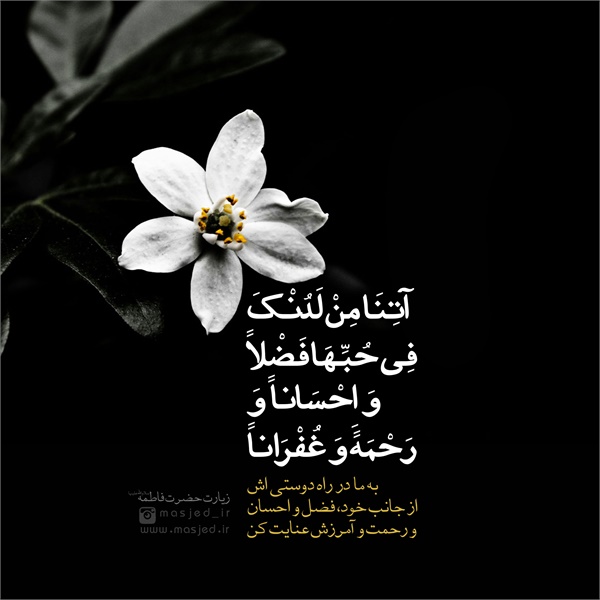 سری دوم محتوای کاربردی فضای مجازی 22