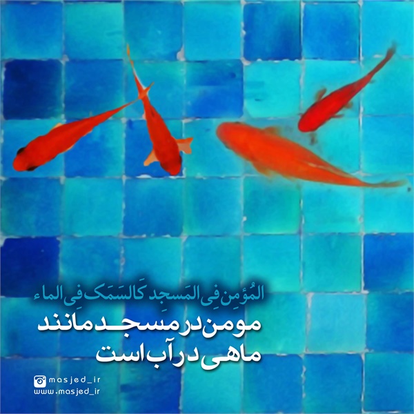 محتوای فضای مجازی 1