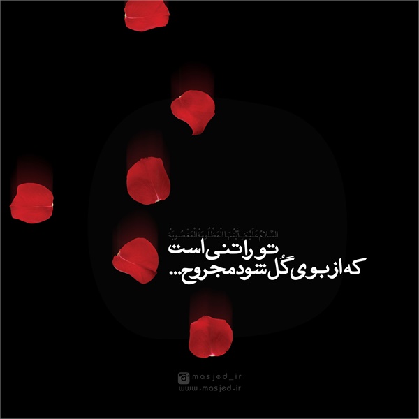 سری دوم محتوای کاربردی فضای مجازی 24