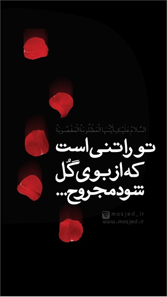 سری دوم محتوای کاربردی فضای مجازی 60