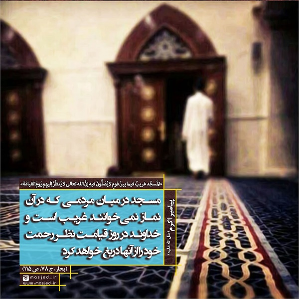 سری دوم محتوای کاربردی فضای مجازی 18