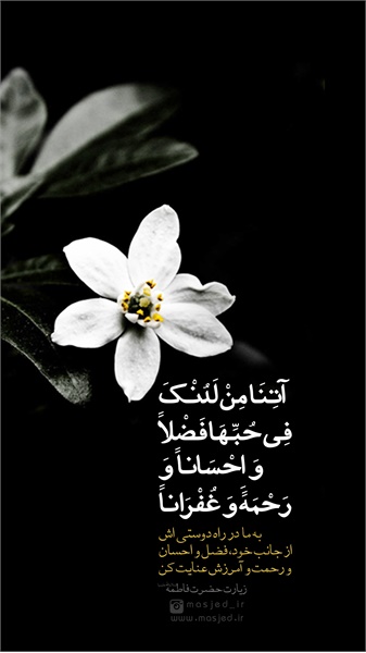 سری دوم محتوای کاربردی فضای مجازی 58